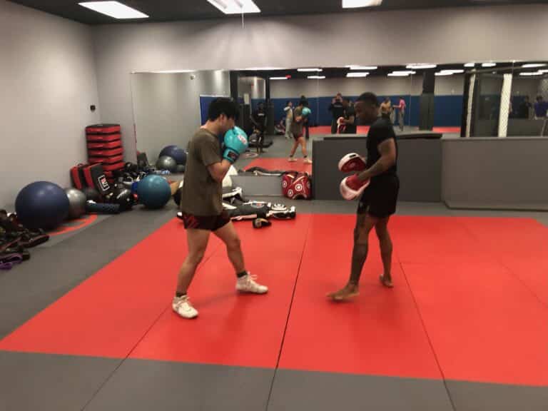 3D MMA 2025